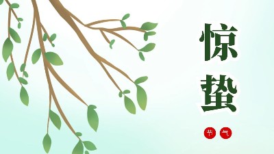 24节气-惊蛰-上海邦森