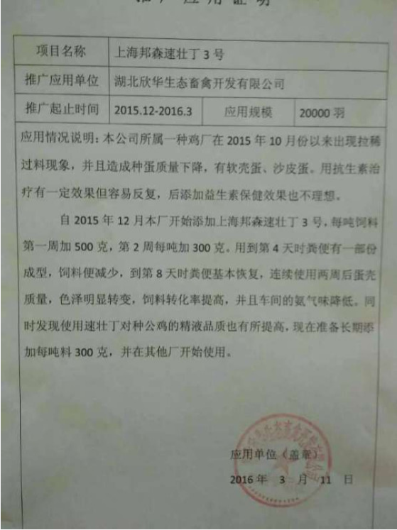 速壮丁欣华