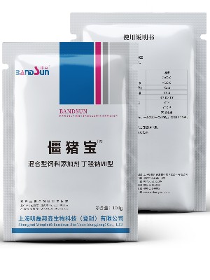 僵猪宝