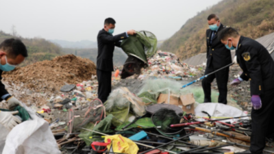 打假3.15！农业执法在行动，集中销毁假冒兽药3000余盒