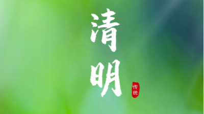 清明节-上海邦森