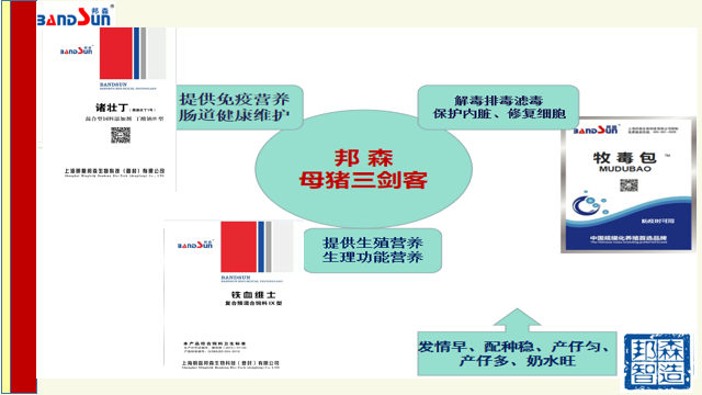 母猪三剑客