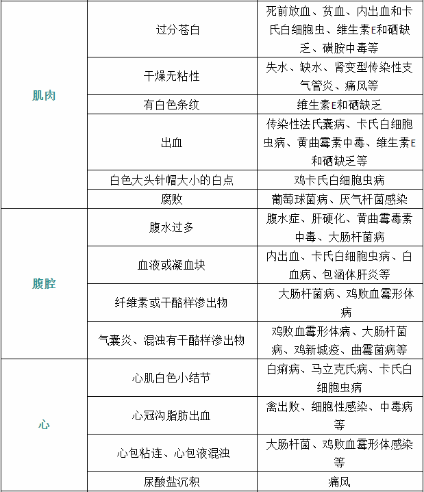 家禽疾病症状5