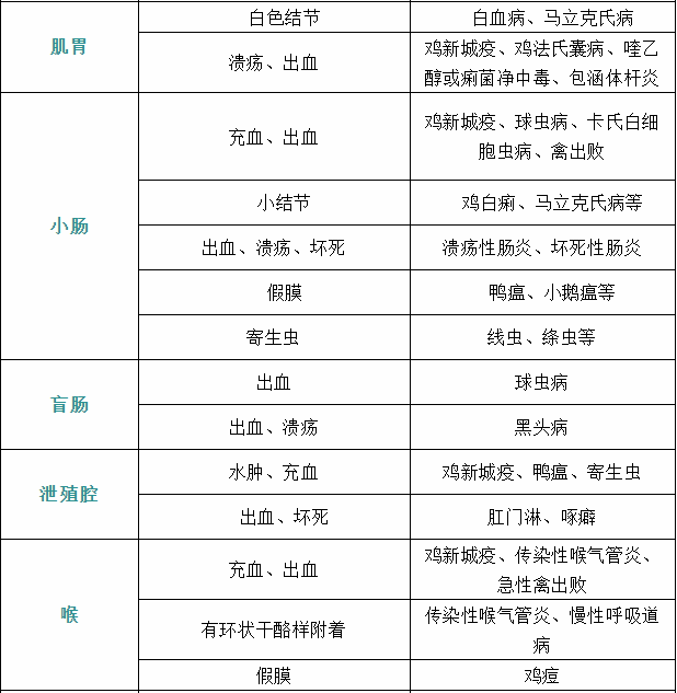 家禽疾病症状7