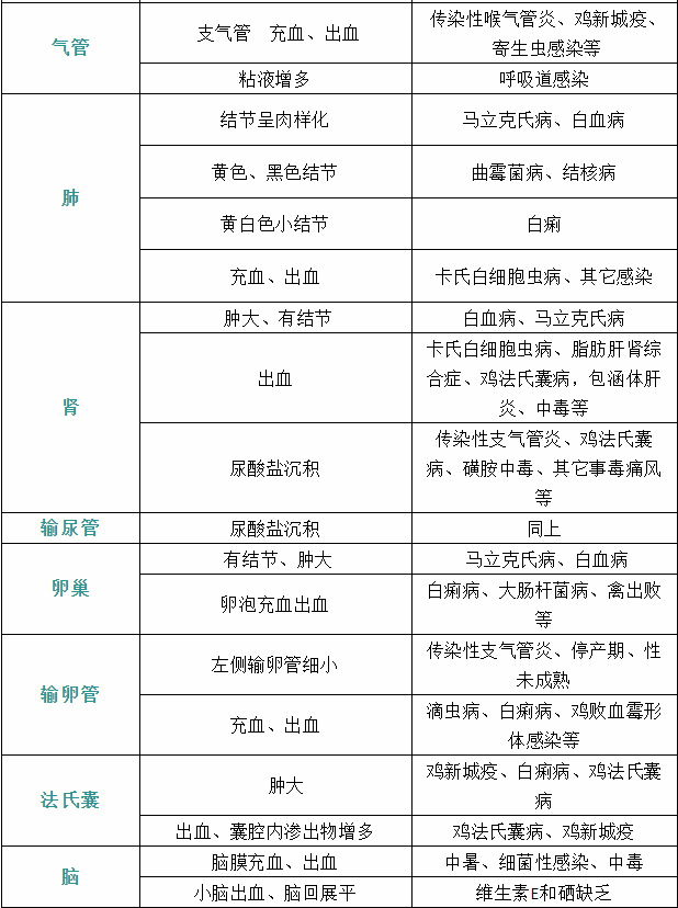 家禽疾病症状8