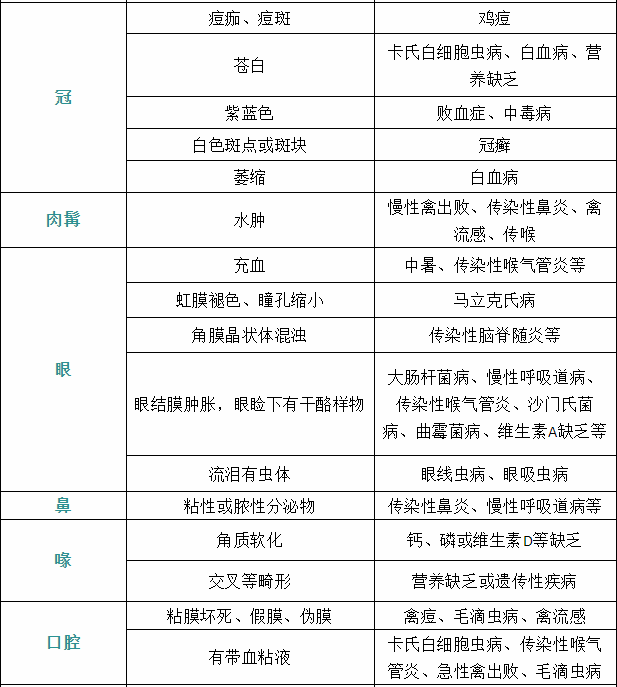 家禽疾病症状3