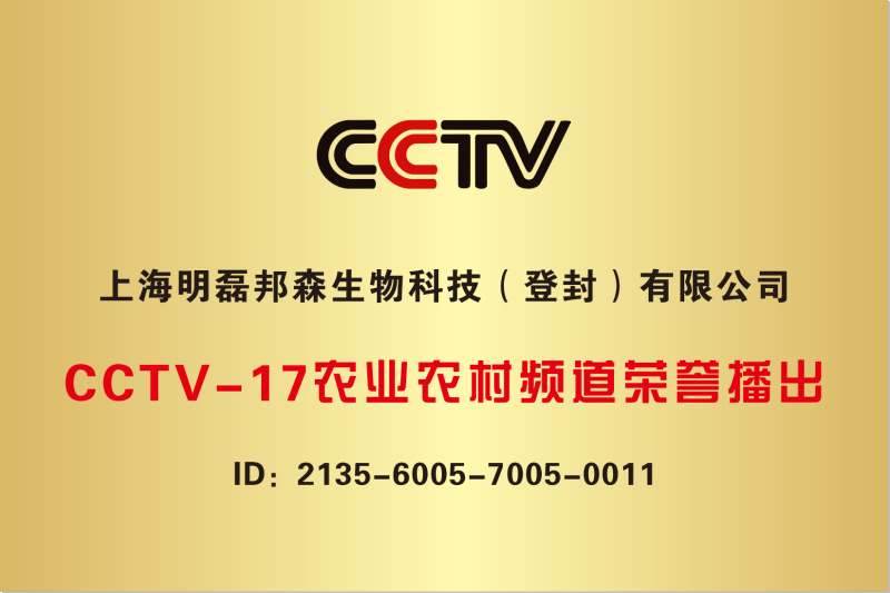 CCTV牌子