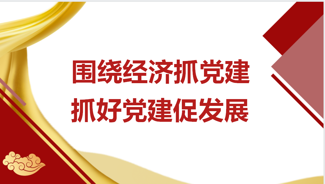 围绕经济抓党建  抓好党建促发展-上海明磊邦森党建活动