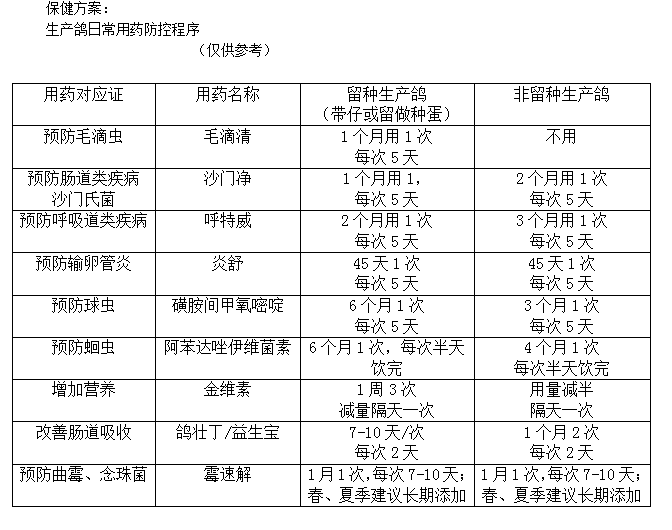 保健治疗方案