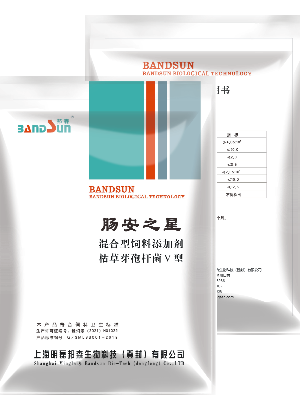 肠安之星