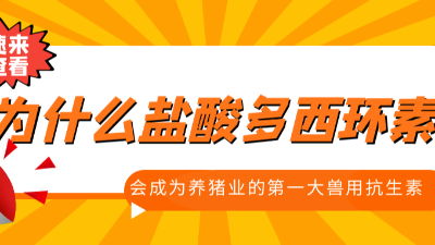 上海邦森分享-为什么盐酸多西环素会成为养猪业第一大兽用抗生素