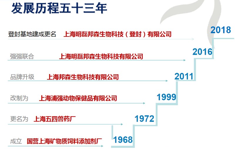 公司发展历程